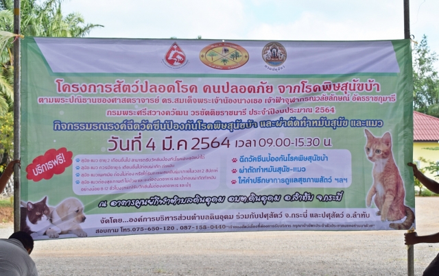กิจกรรมผ่าตัดทำหมัน-ฉีดวัดซีนป้องกันโรคพิษสุนัขบ้า (1/2564)